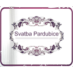 Svatba Pardubice - Pension Birdie